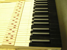 black naturals colored piano keytops