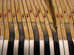 piano key sharps